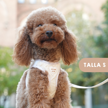 Arnés Body Jersey Couture