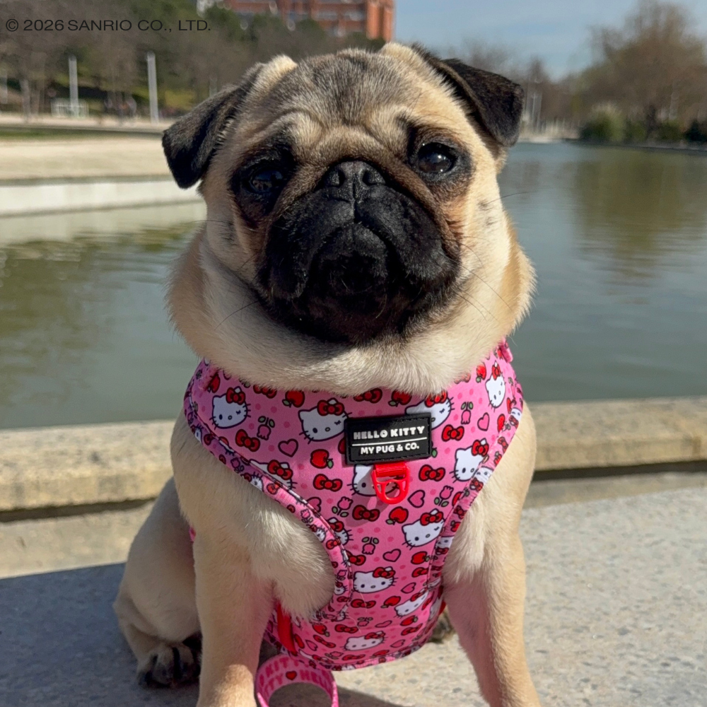 Pack Arnés Ajustable Hello Kitty Pink