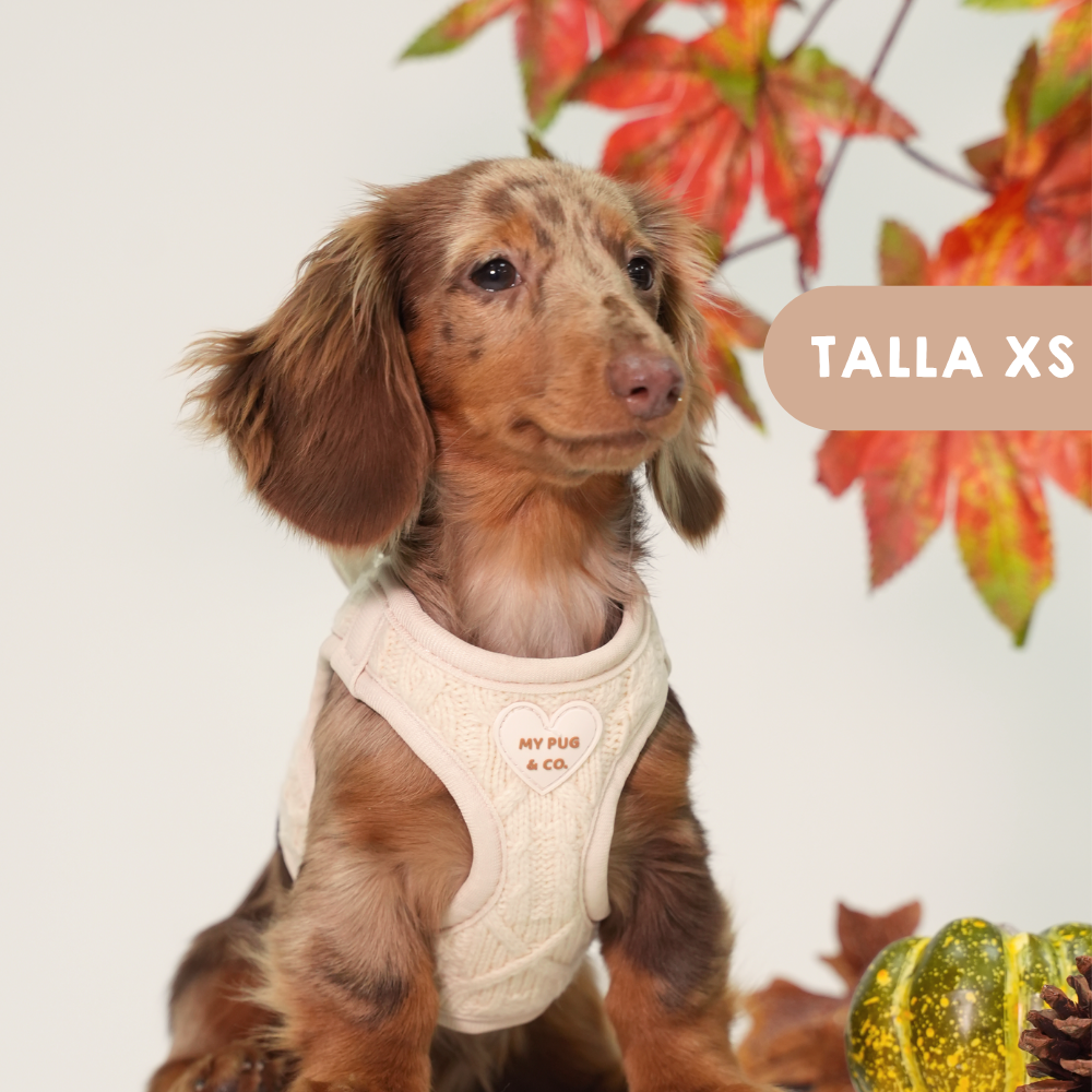 Arnés Body Jersey Couture