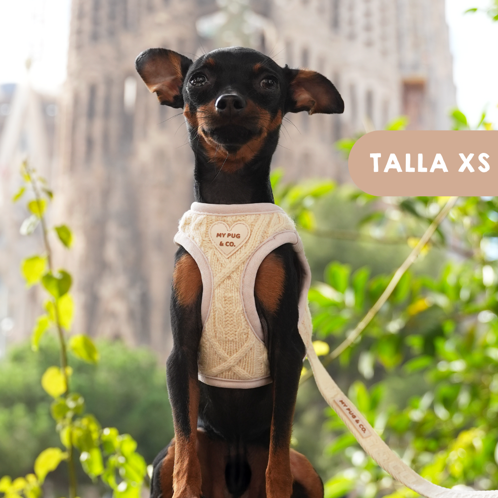 Arnés Body Jersey Couture