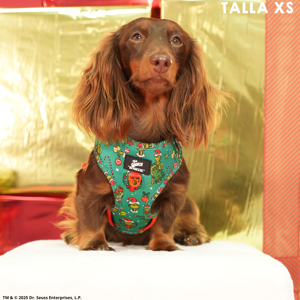 Arnés Ajustable The Grinch Verde