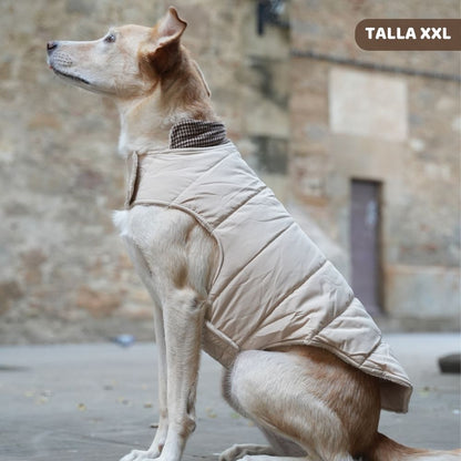 Abrigo Pata de Gallo para perros de My Pug & Co