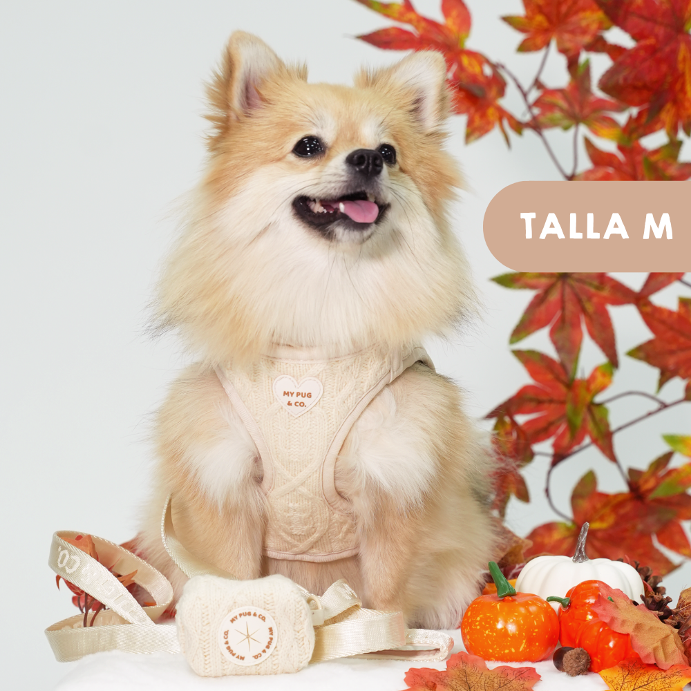 Arnés Body Jersey Couture