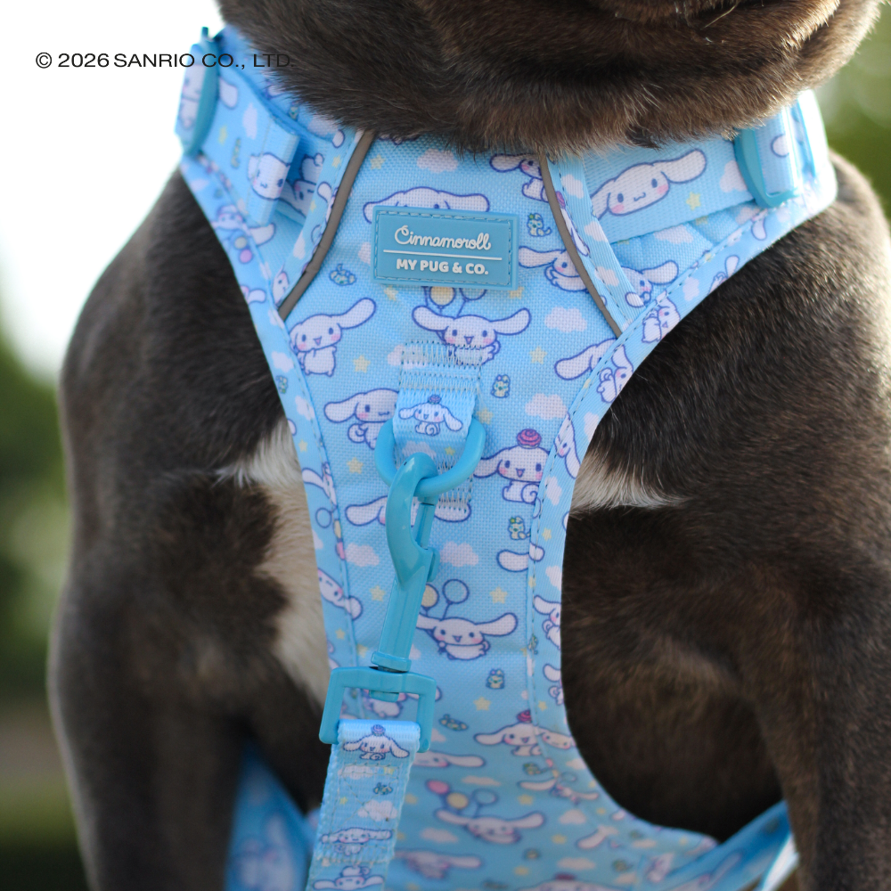 Trail-Hundegeschirr von Cinnamoroll