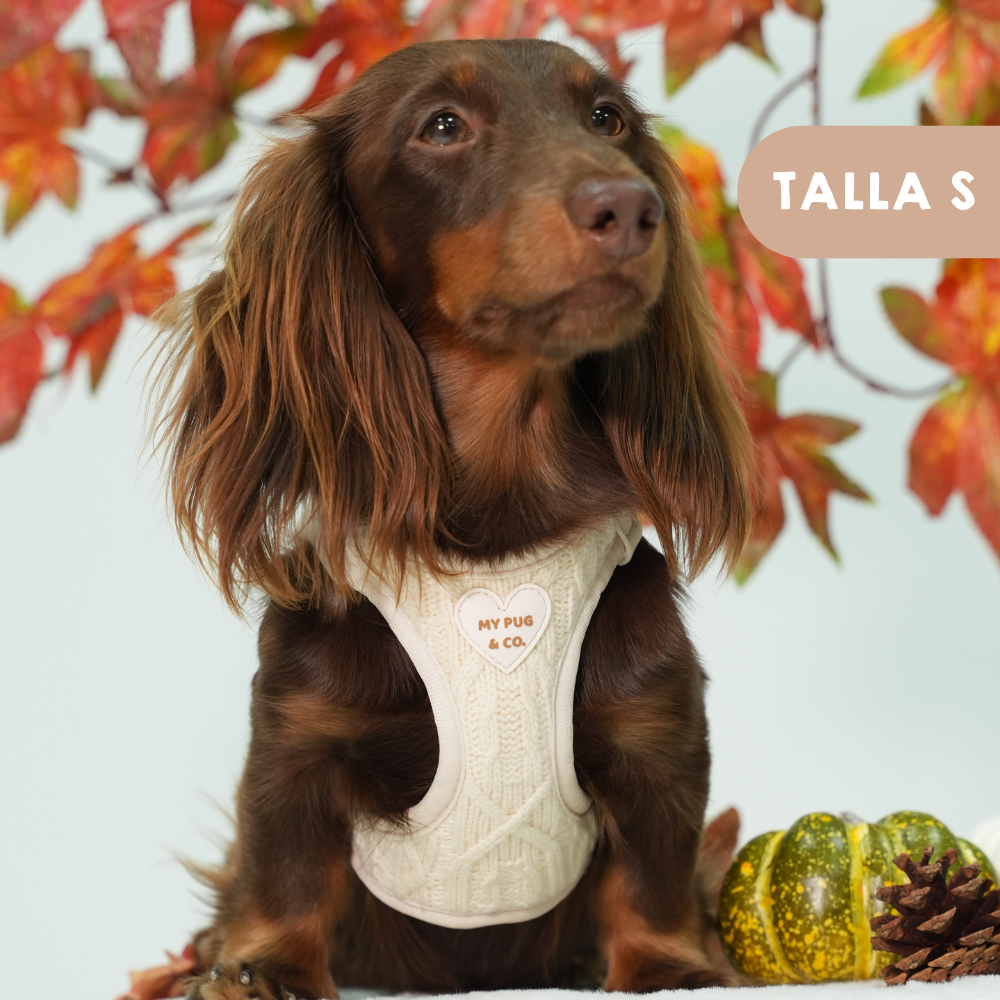 Arnés Body Jersey Couture