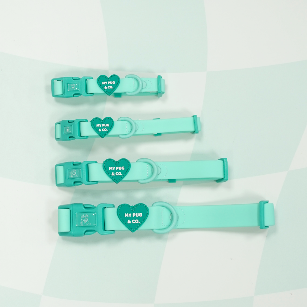 Collar Waterproof Turquesa - Verde