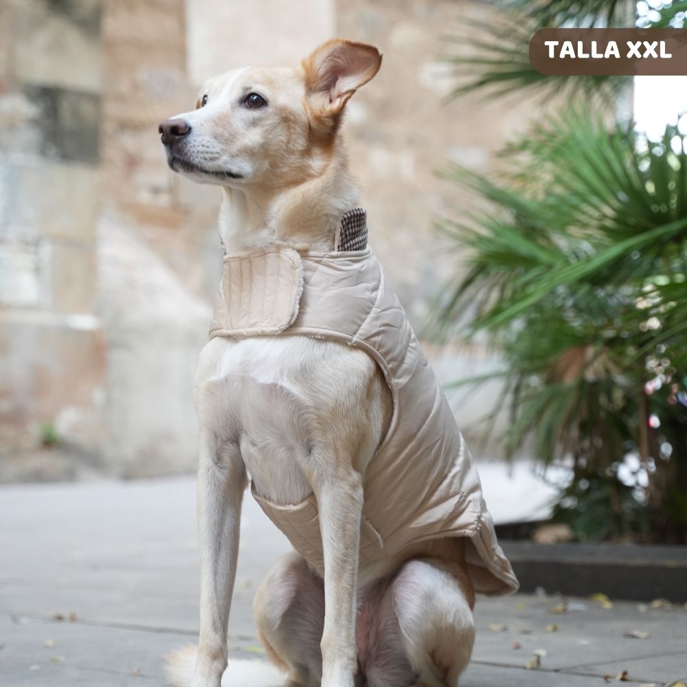 Abrigo Pata de Gallo para perros de My Pug & Co