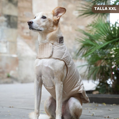 Abrigo Pata de Gallo para perros de My Pug & Co
