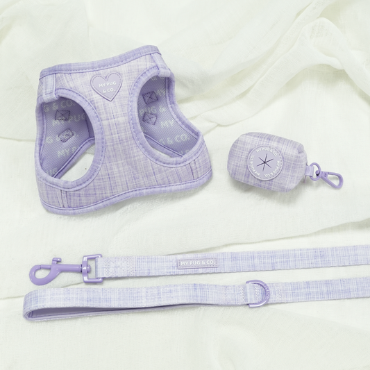 Pack Arnés Body Lila Lavanda