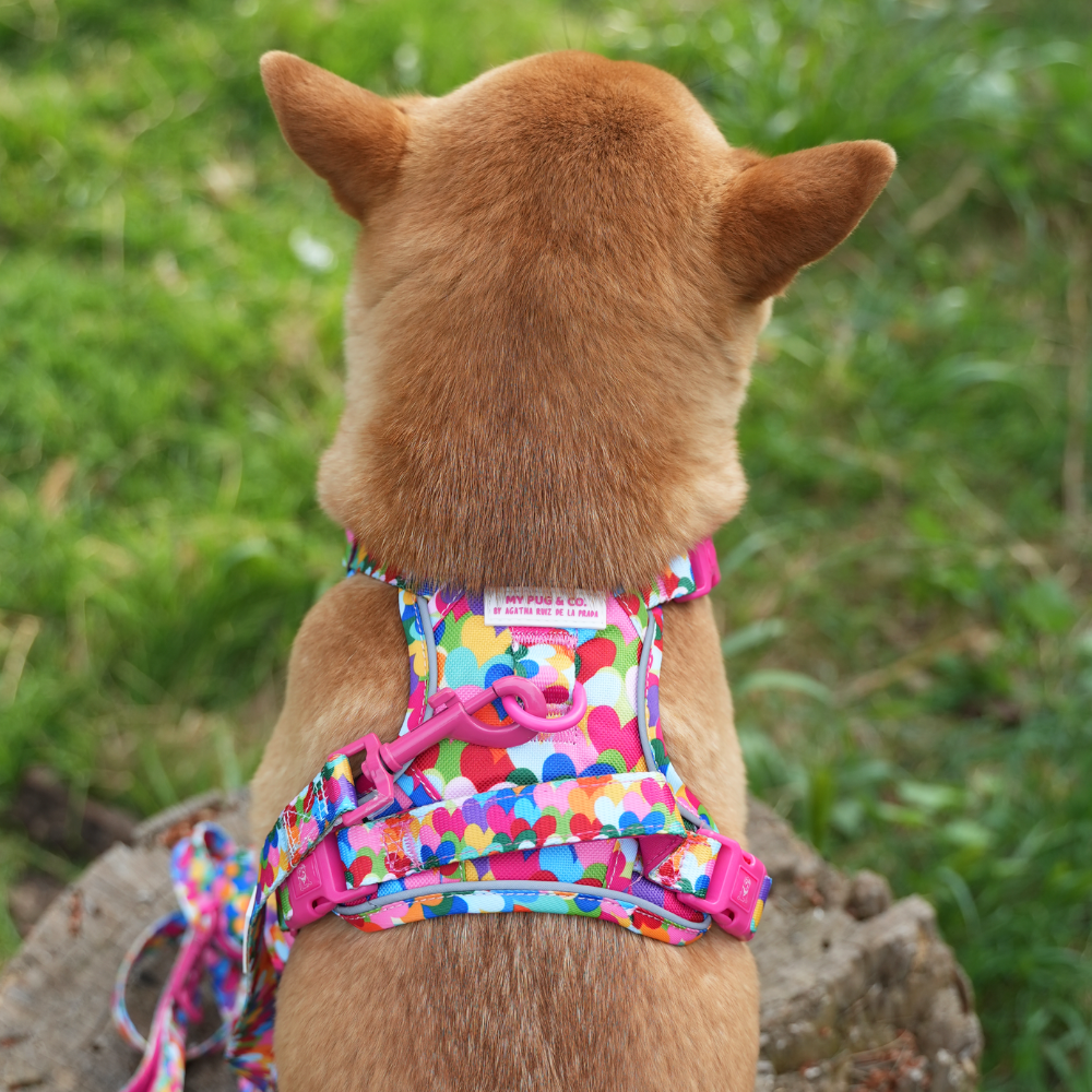 Hearts Trail Harness by Agatha Ruiz de la Prada