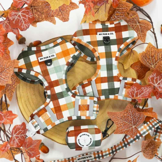 Pack Arnés Ajustable Autumn Picnic