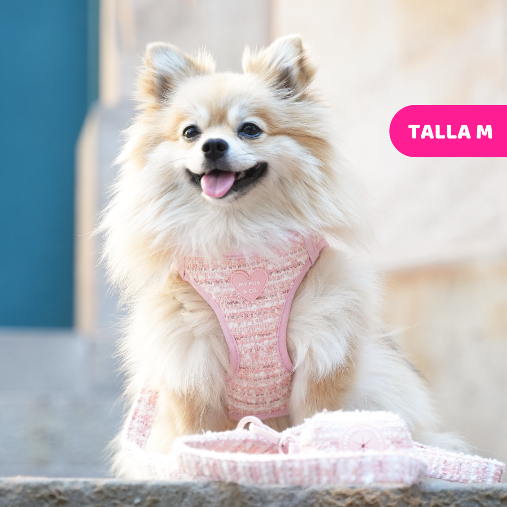 Pink Chic Step-In Harness