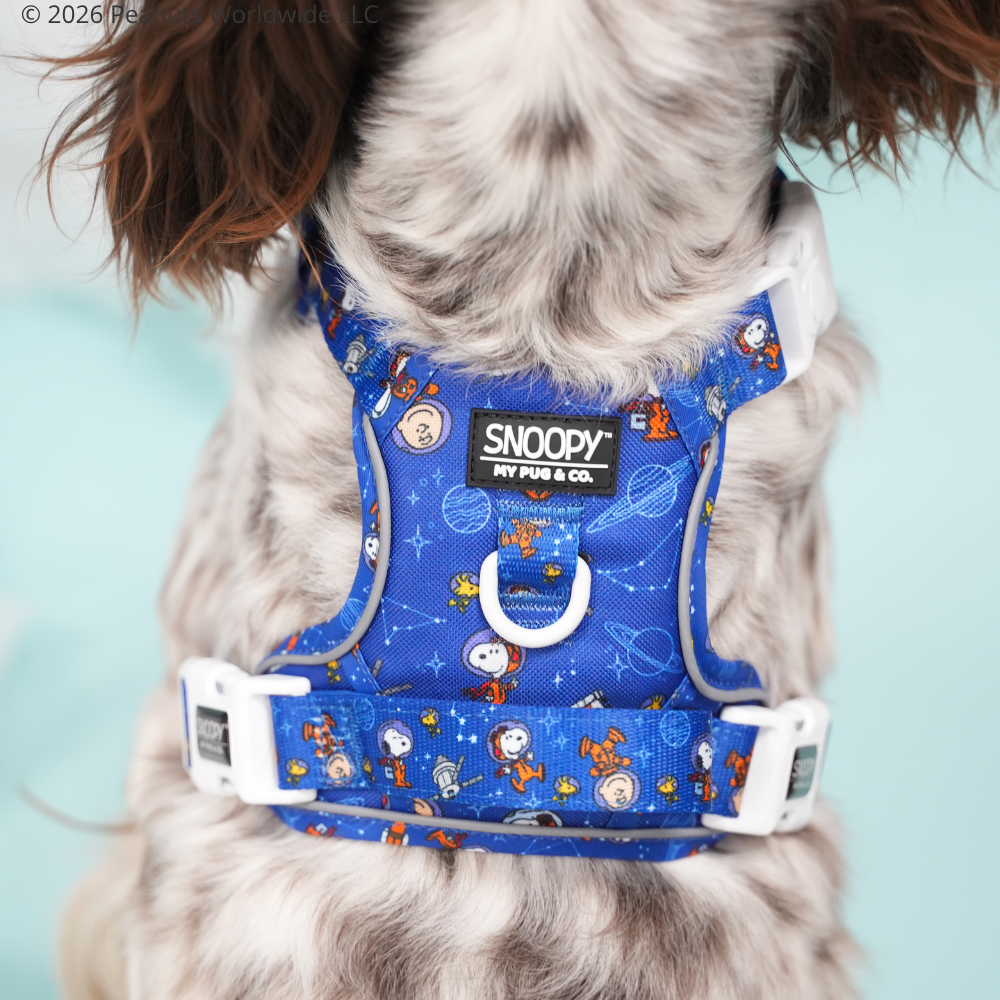 Space Trail Harness by Snoopy™️