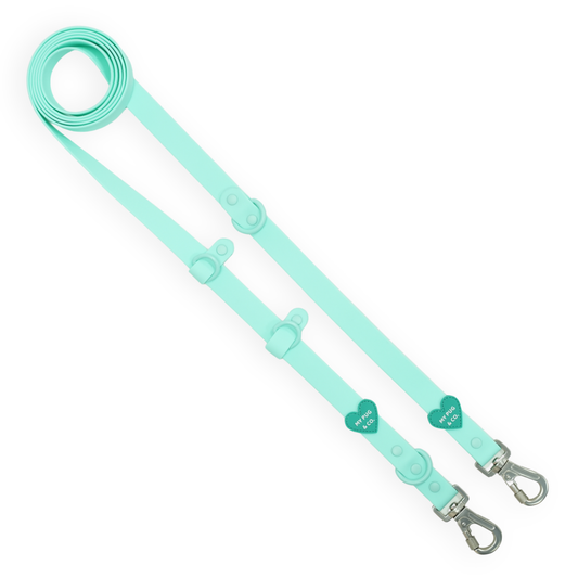 Handsfree Waterproof Leash - Turquoise 