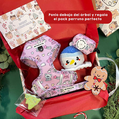 Pacote de Natal