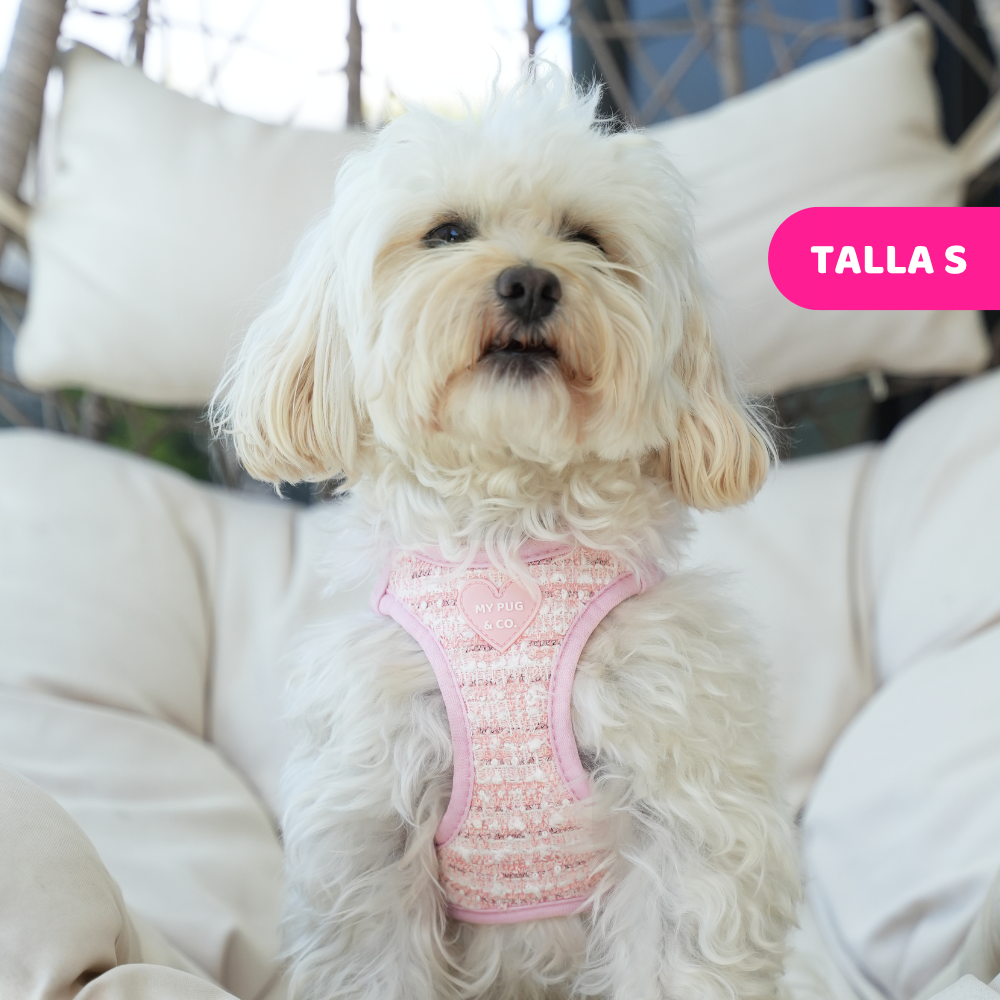 Pink Chic Step-In Harness