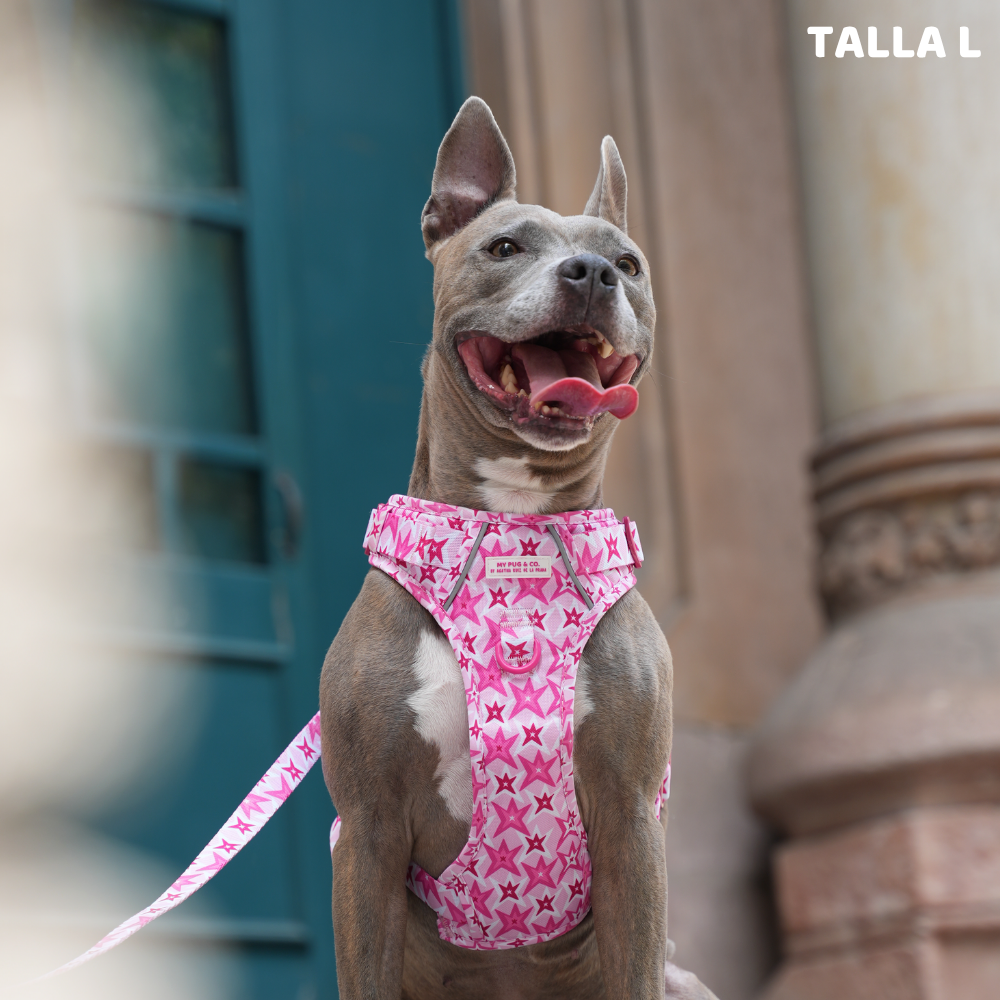 Trail-Hundegeschirr Farbenfrohe Blumen von Agatha Ruiz de la Prada