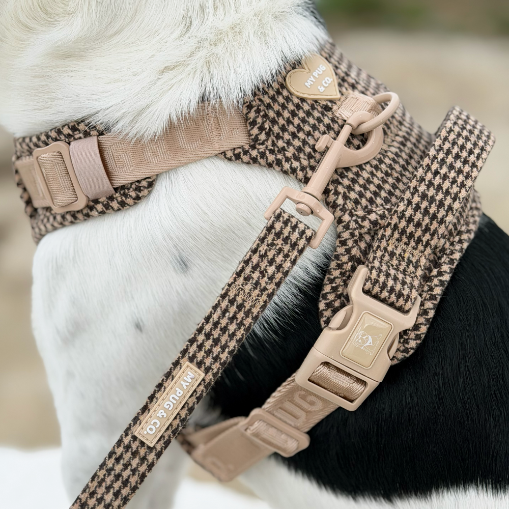 Arnés Todoterreno Pata de Gallo