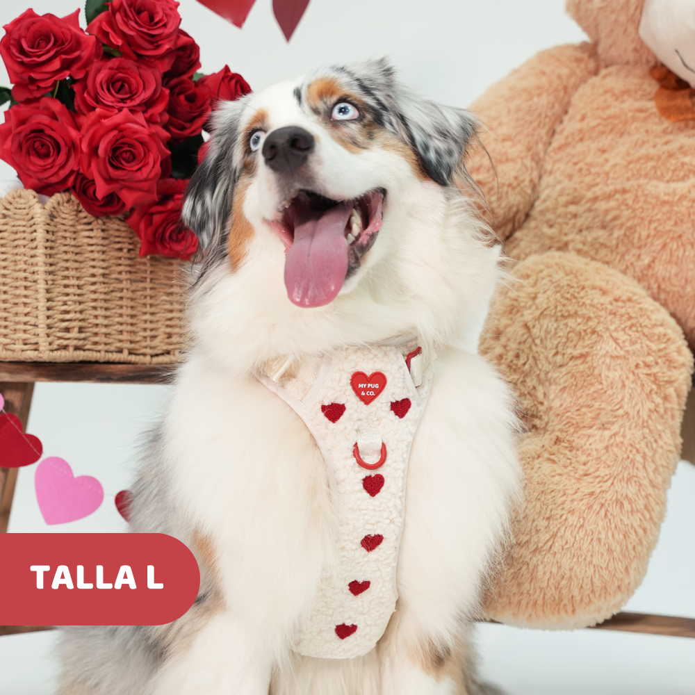 Arnés Todoterreno Corazón