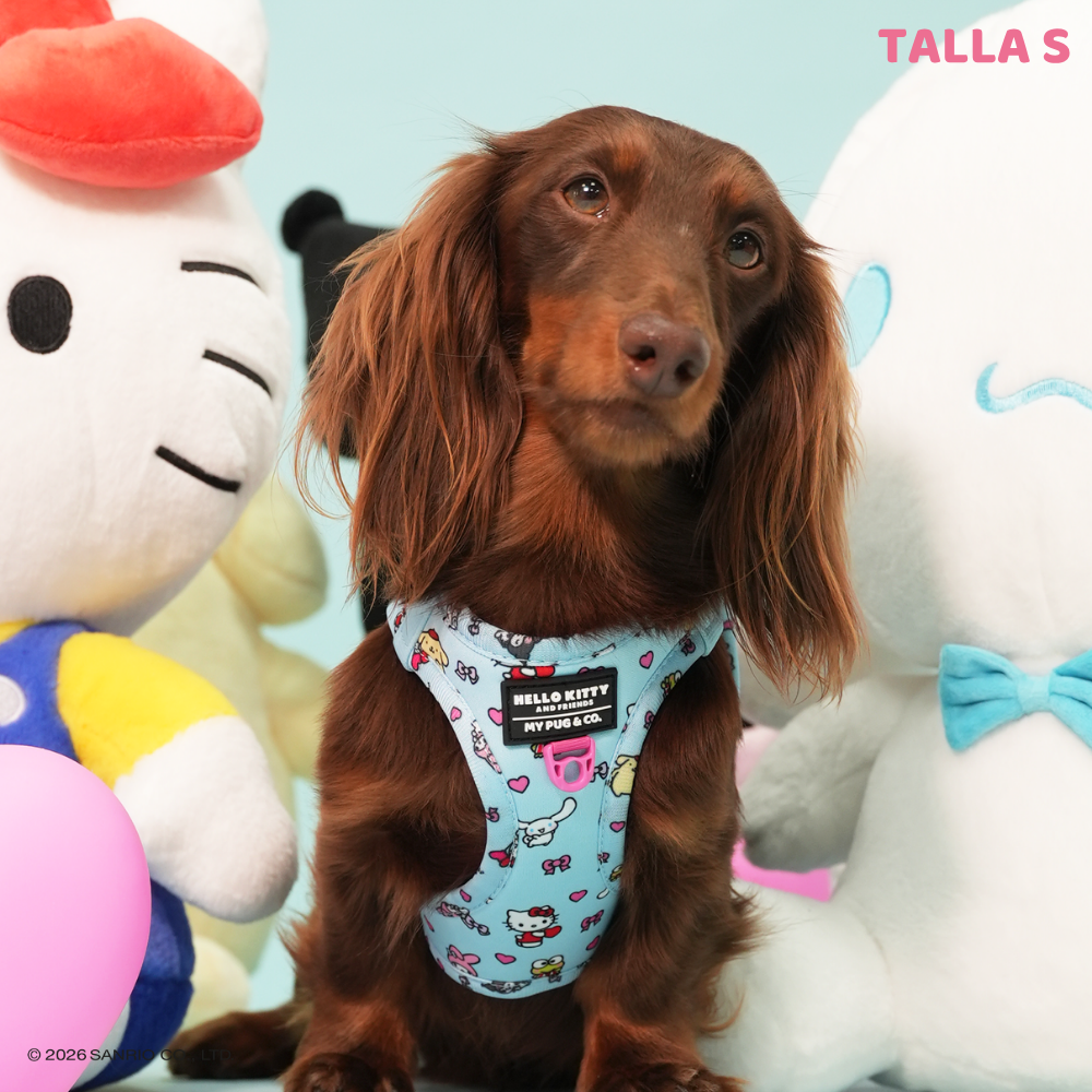 Step-in Hundegeschirr von Hello Kitty and Friends