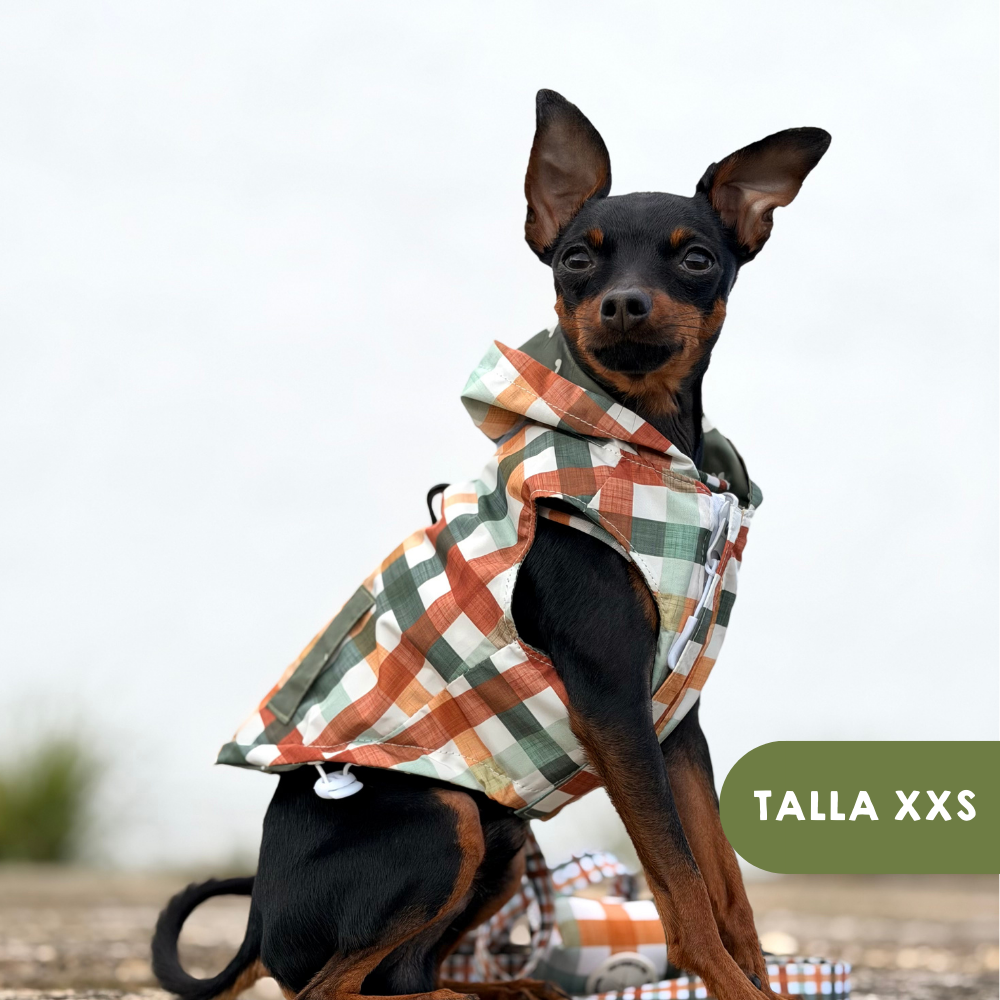 Chubasquero Autumn Picnic