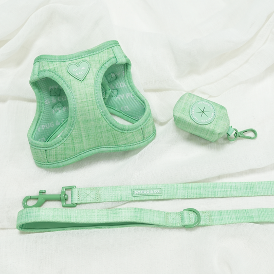 Pack Arnés Body Verde Matcha