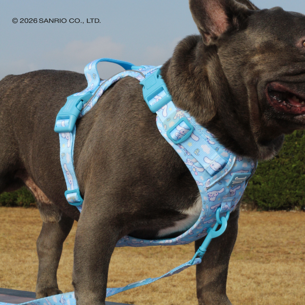 Trail-Hundegeschirr von Cinnamoroll
