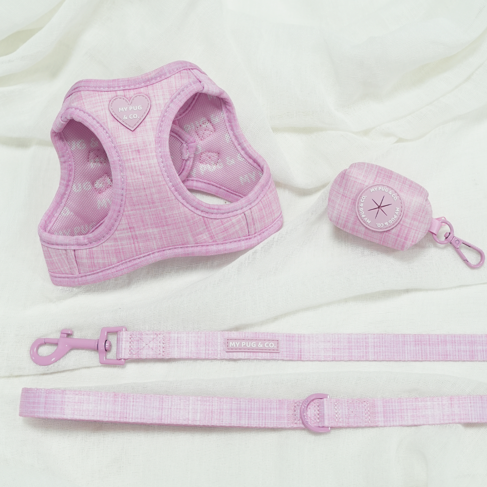 Pack Arnés Body Rosa Bloom