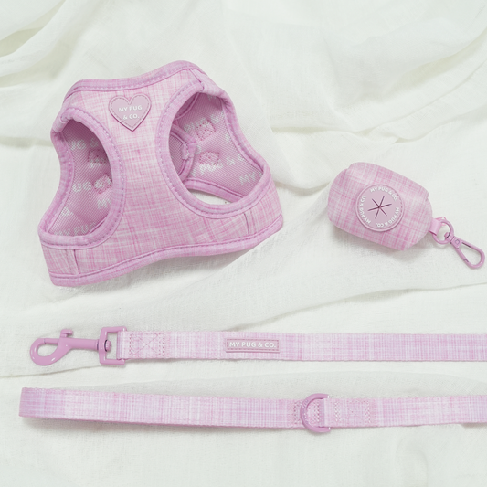 Pack Arnés Body Rosa Bloom