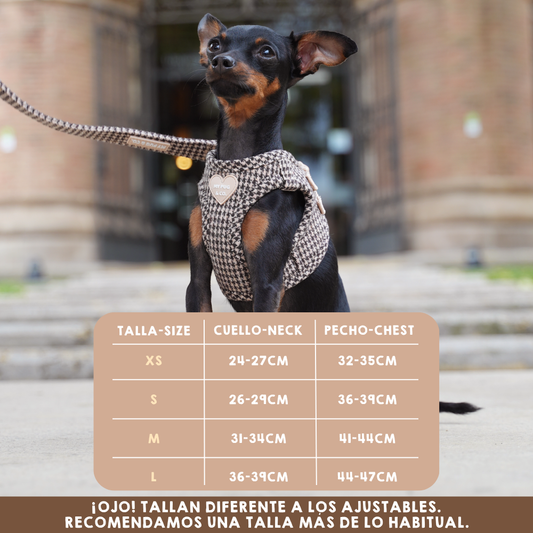 Arnés Body Pata de gallo