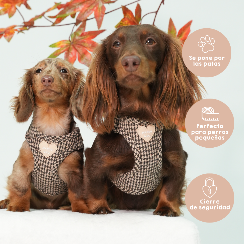 Arnés Body Pata de gallo