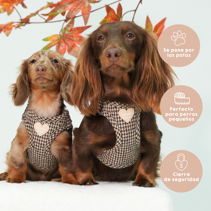 Arnés Body Pata de gallo