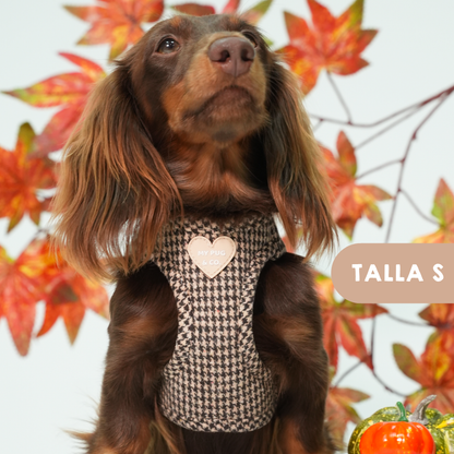 Arnés Body Pata de gallo