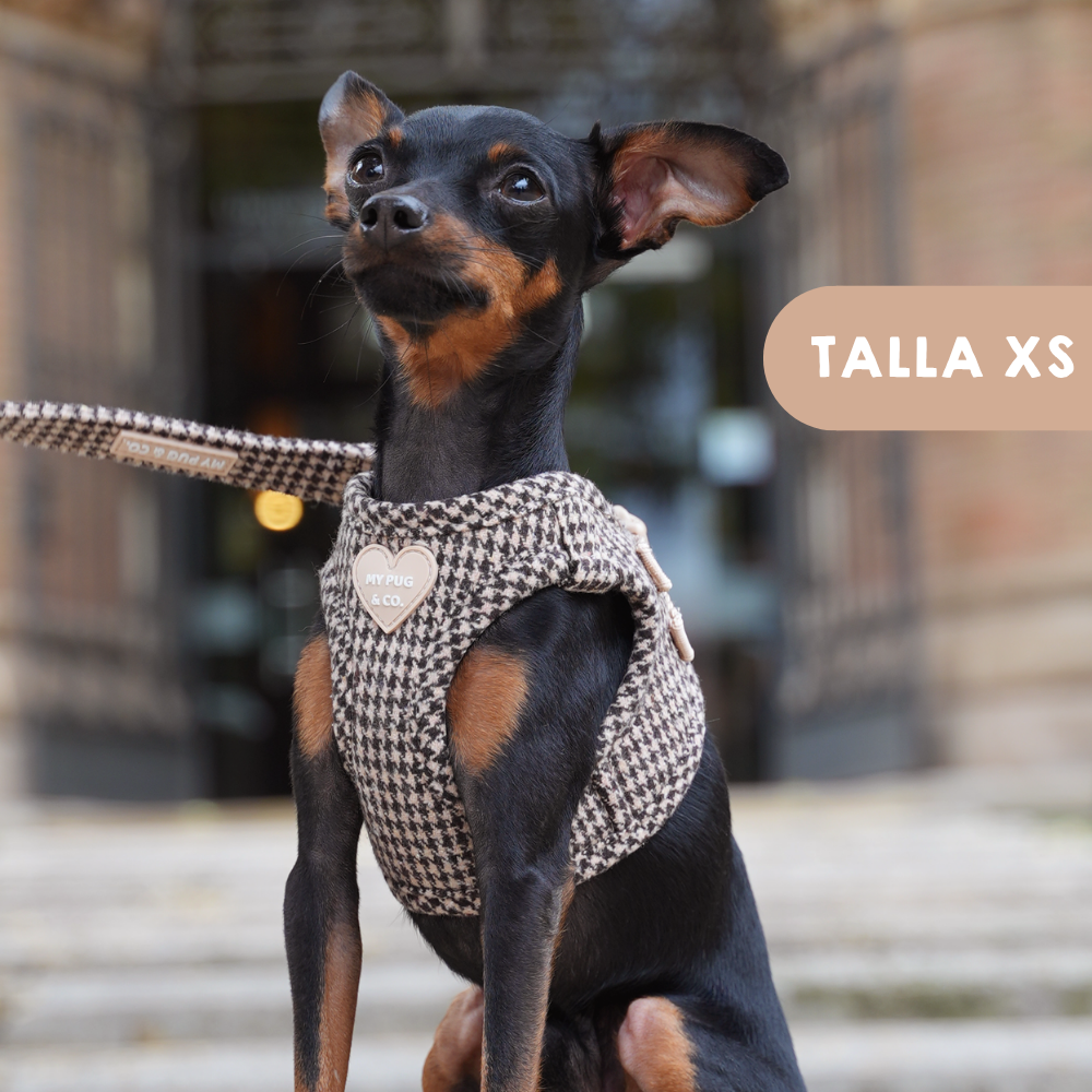 Arnés Body Pata de gallo