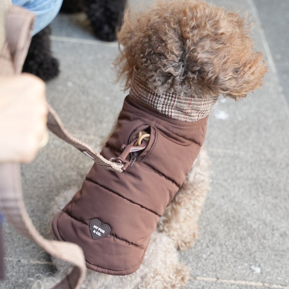 Abrigo Tartán para perros de My Pug & Co