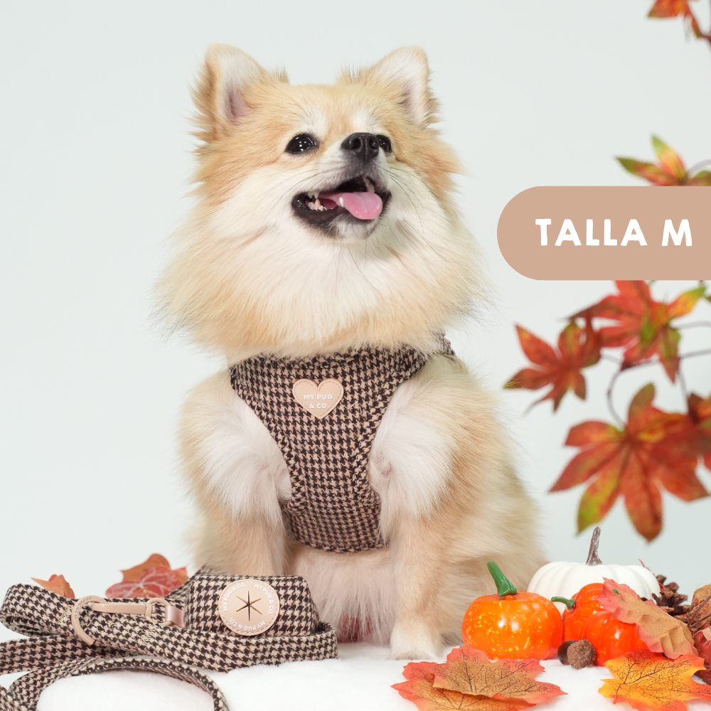 Arnés Body Pata de gallo