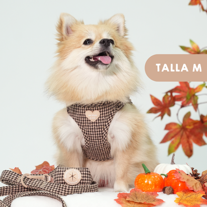 Arnés Body Pata de gallo