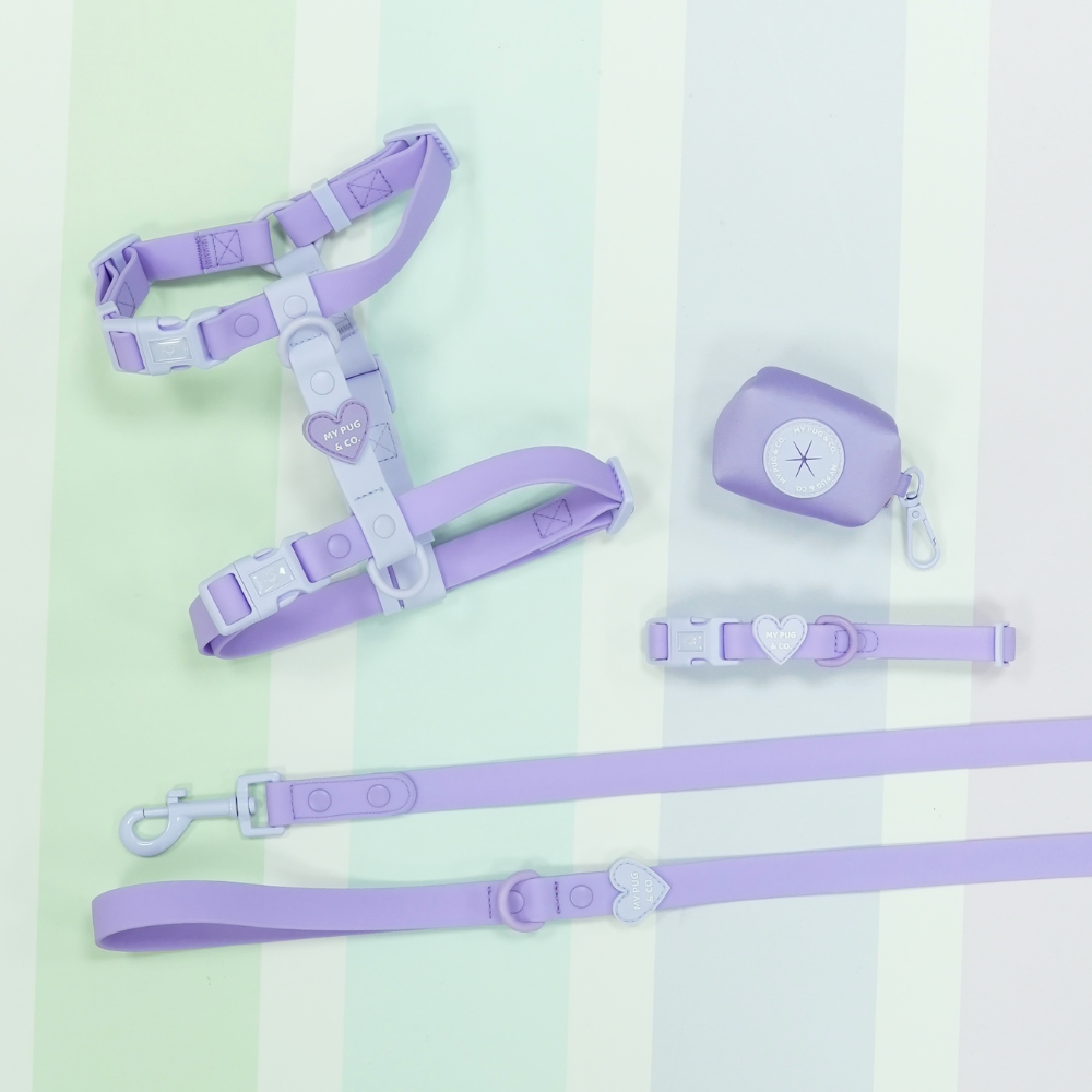 Arnés Ajustable Waterproof Lila