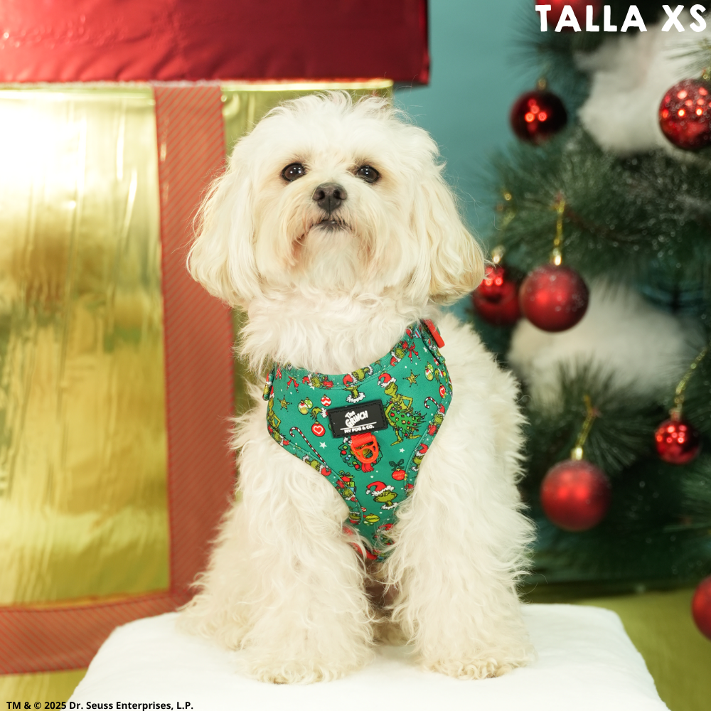 Arnés Ajustable The Grinch Verde