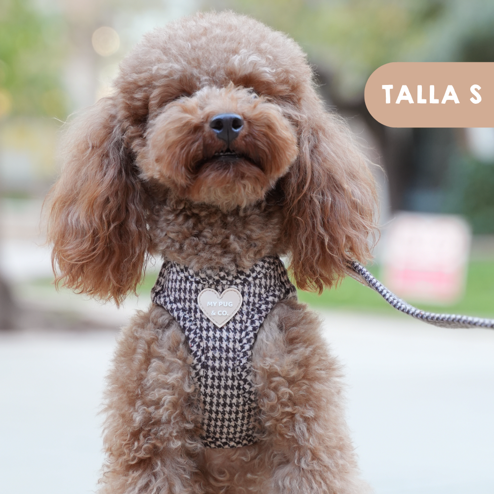 Arnés Body Pata de gallo