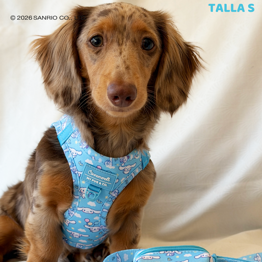 Step-in Hundegeschirr von Cinnamoroll