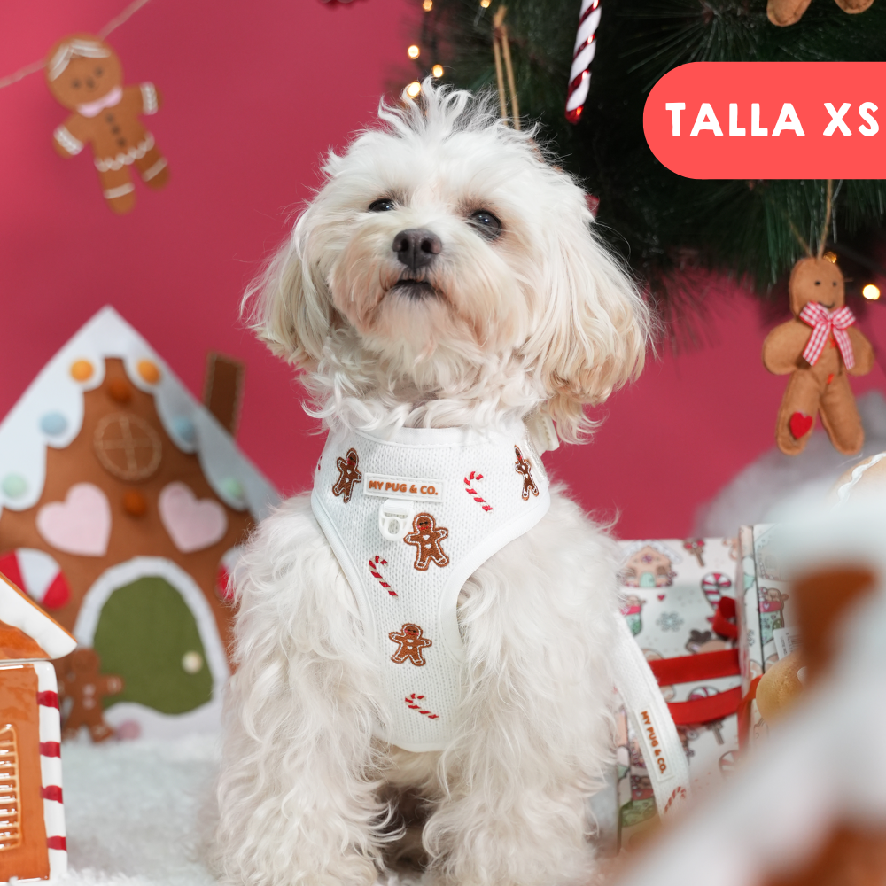 Arnés Ajustable Gingerbread