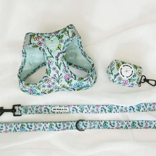 Pack Arnés Body Spring Flowers
