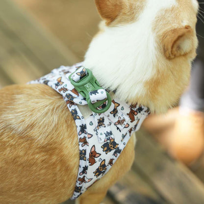 Pack Arnés Body Chihuahua
