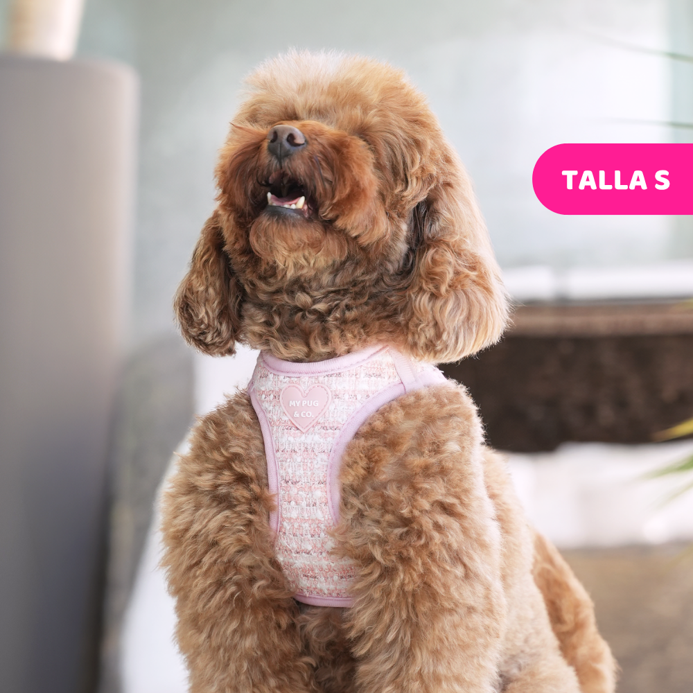 Pink Chic Step-In Harness