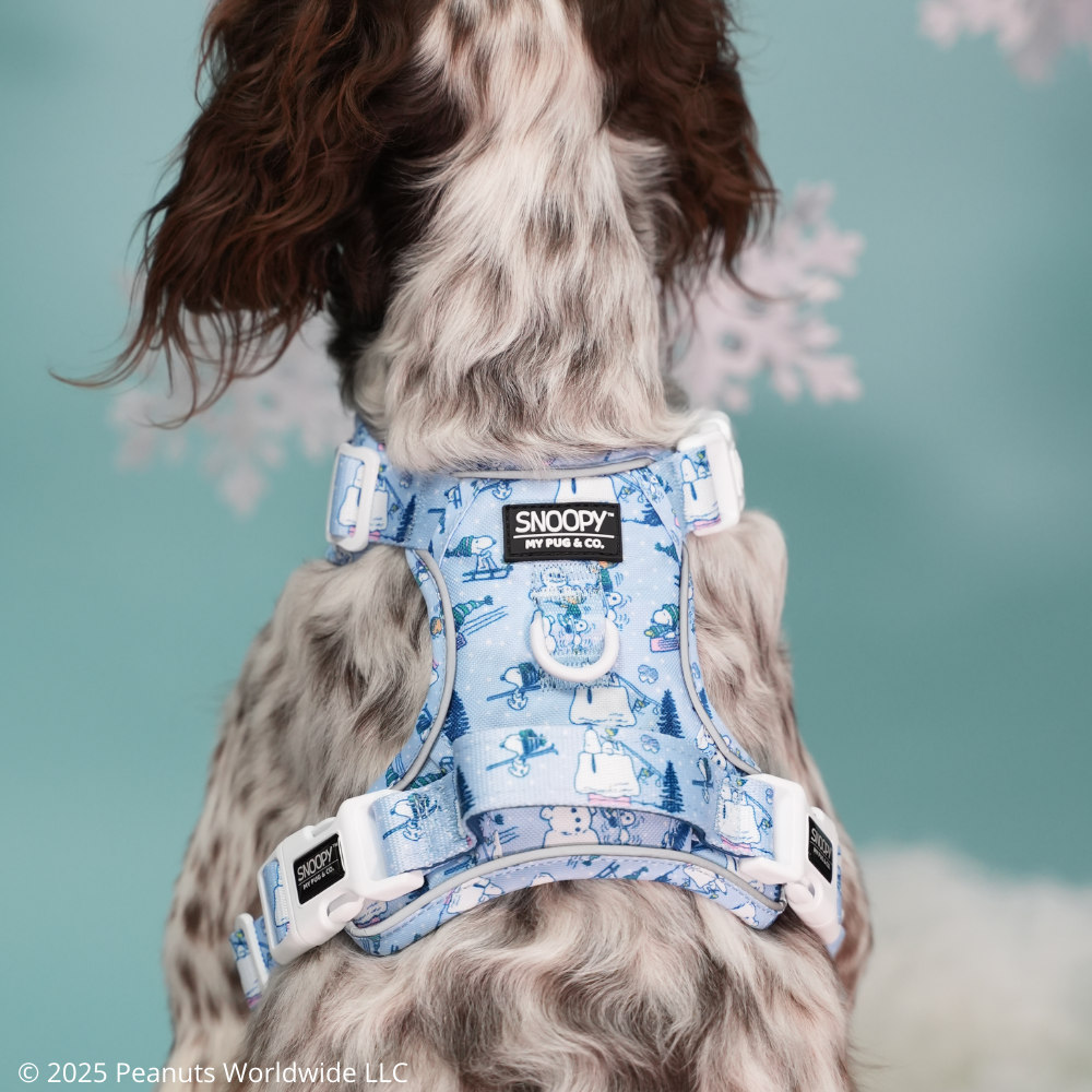 Arnés Todoterreno Snoopy™️ Snow