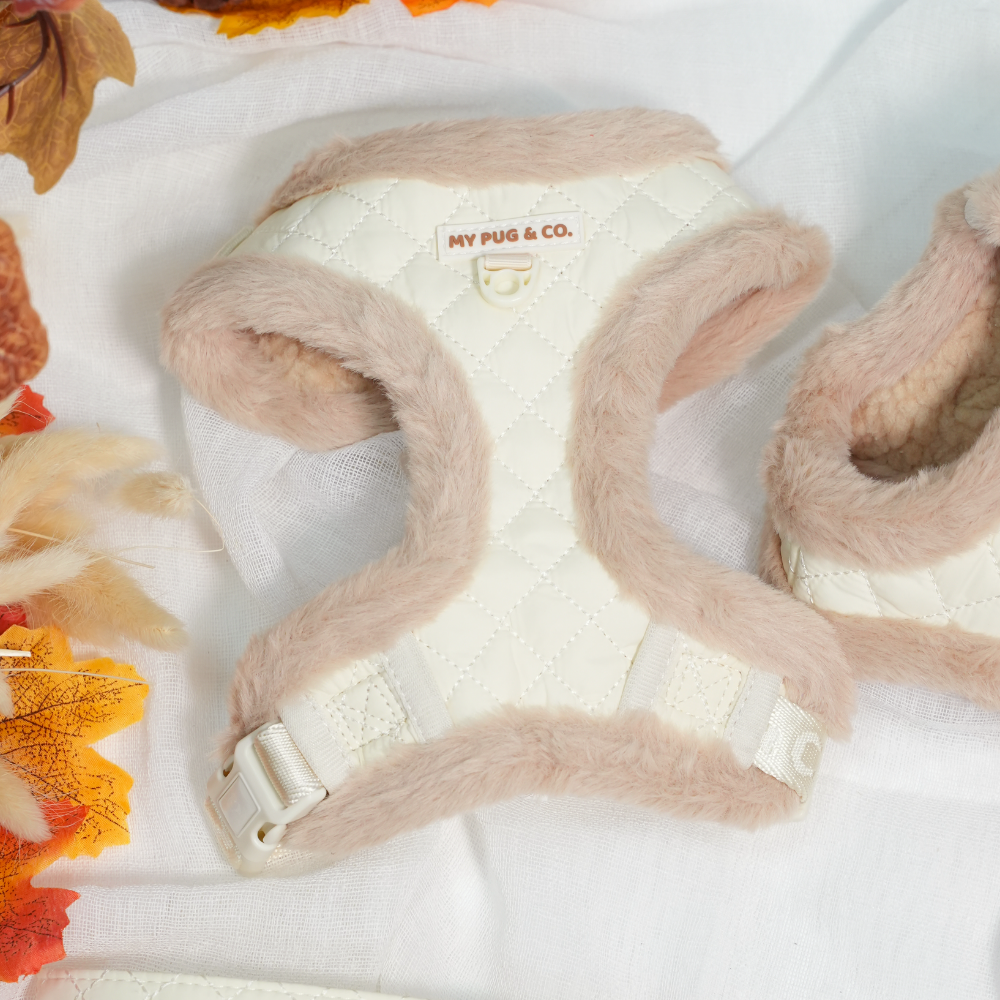 Arnés Ajustable Teddy Luxe