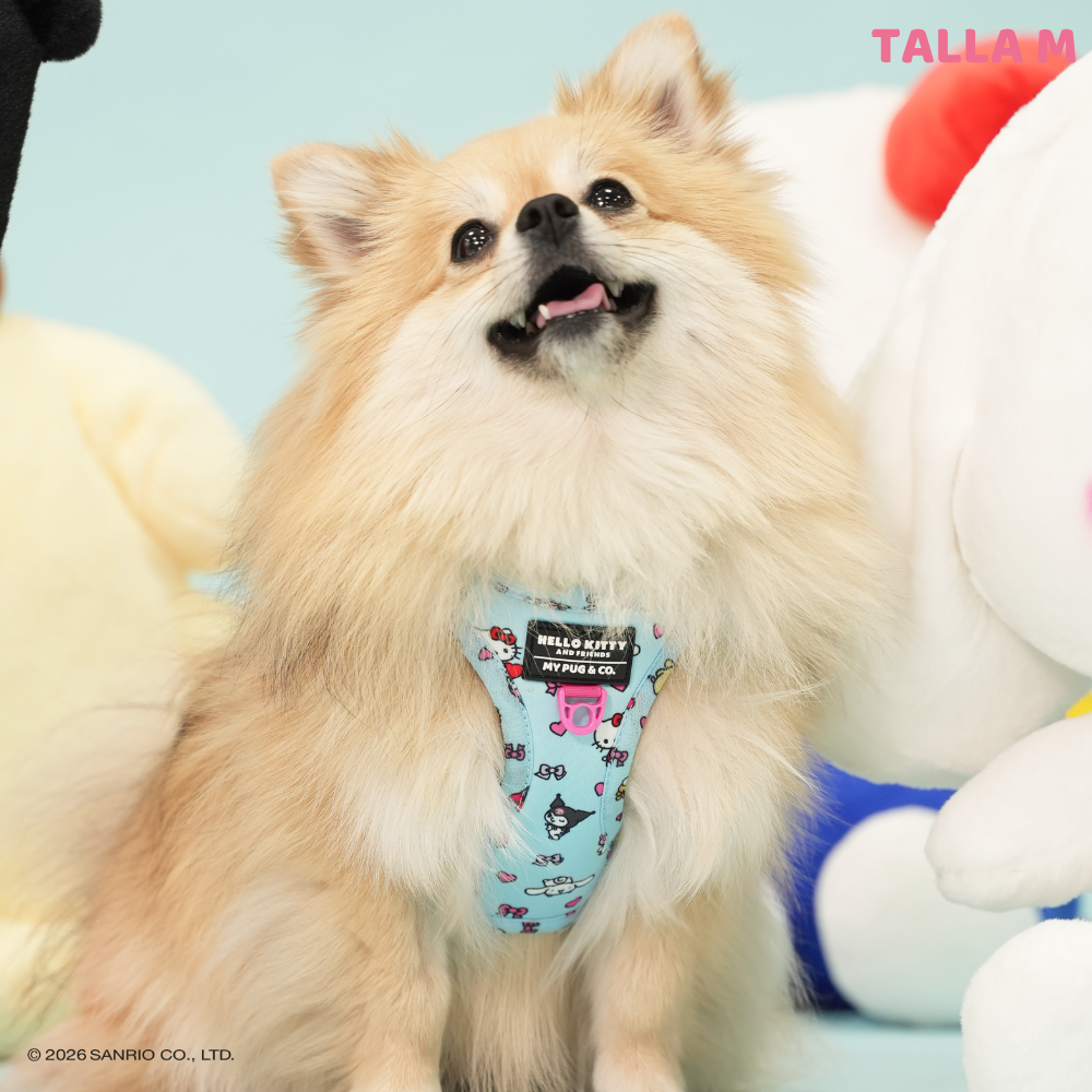 Step-in Hundegeschirr von Hello Kitty and Friends
