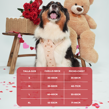 Arnés Todoterreno Teddy