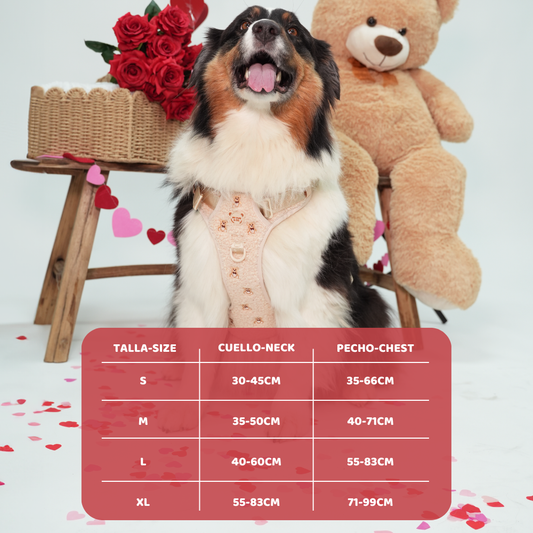 Arnés Todoterreno Teddy